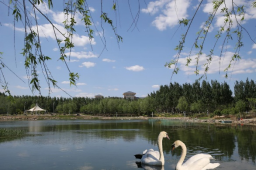 银河娱乐城