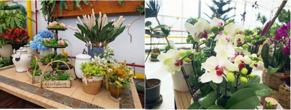 银河娱乐城