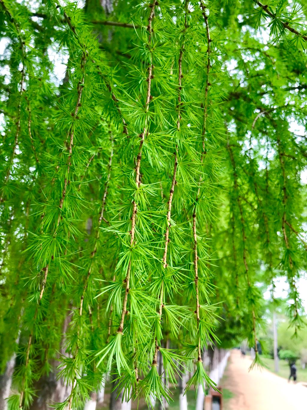 银河娱乐城