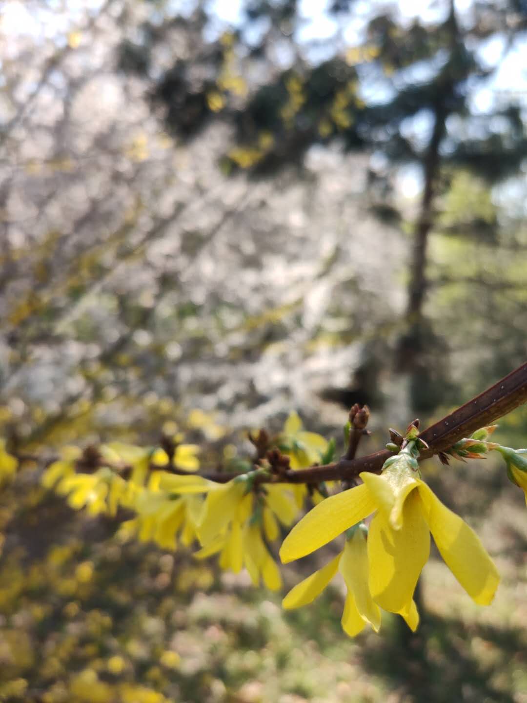 银河娱乐城